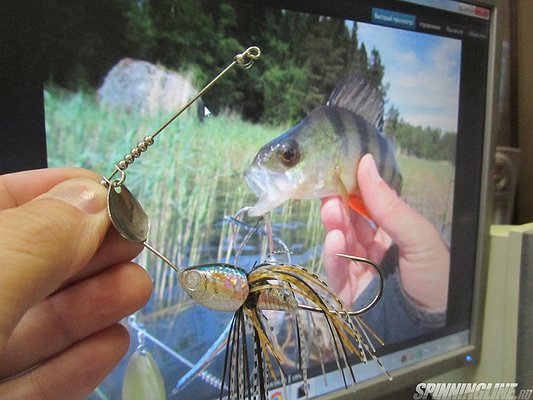 Изображение 1 : Обычная рыбалка в Финском заливе.